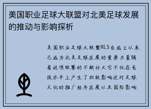 美国职业足球大联盟对北美足球发展的推动与影响探析